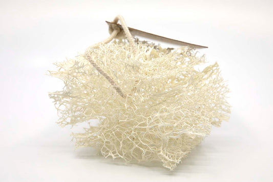 Loofah afwasspons, plasticvrij